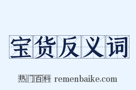 宝货反义词是什么意思的图片